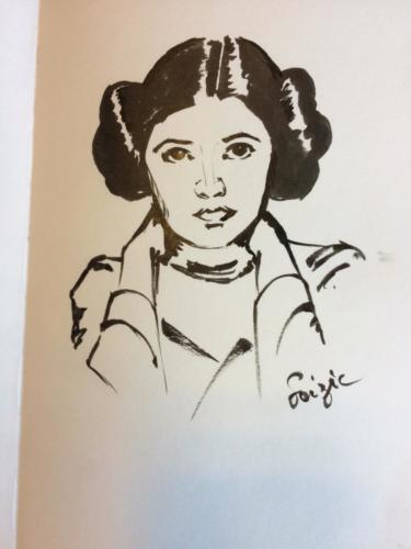 Princesse Leia - Star Wars